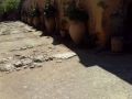 Arkadi (3)