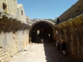Arkadi (5)
