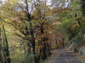 Autunno appenninico
