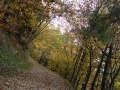 Autunno appenninico