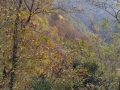 Autunno appenninico