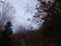 Autunno appenninico