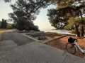 Brijuni-Istria-7
