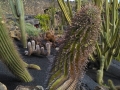 LANZAROTE 09
