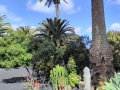 LANZAROTE 24