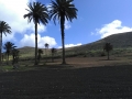 LANZAROTE 25