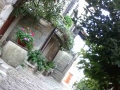 02 grisignana