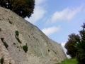 12 mont.mura